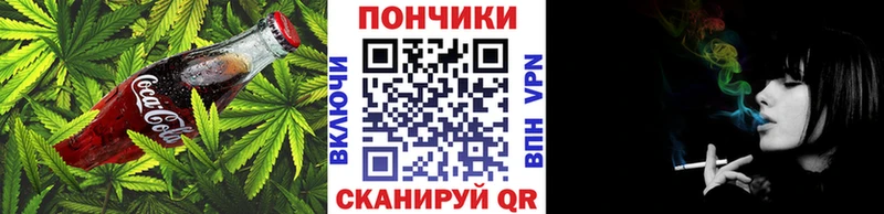 Canna-Cookies конопля Дно