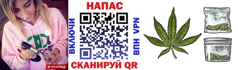 Бошки Шишки план  Купить закладки  Дно 